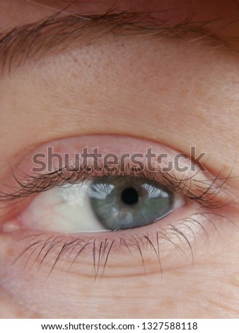 Similar – My look Eyelash Pupil