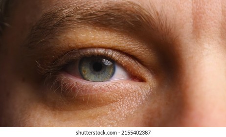 Human Eye In Close-up. Pupil Slightly Dilated. Blue Iris. Woman's Eye