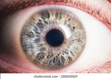 Human eye detail