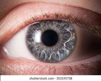 Human Eye Detail