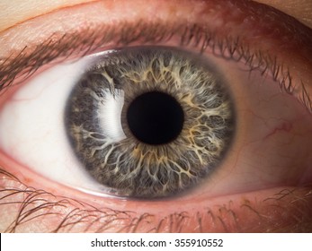 Human Eye Detail