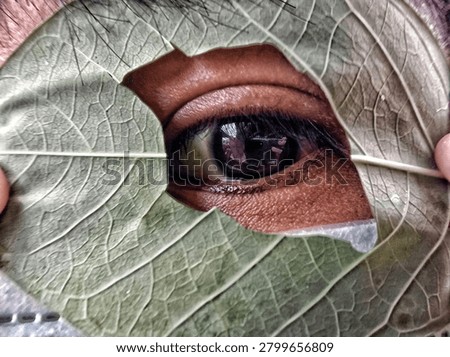 Human Eye Framed by Leaf with Natural Vein Texture. Creative close-up photograph of a human eye revealed through a torn leaf, highlighting intricate leaf vein patterns and detailed eye features. The composition creates a visual connection between nature and human perception, emphasizing texture, observation, and environmental awareness.