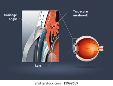 Human Eye Glaucoma Eye Disease Stock Photo 13969639 | Shutterstock