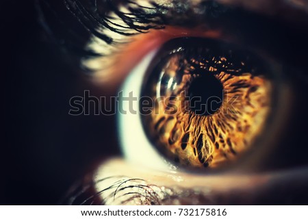Human eye iris close up