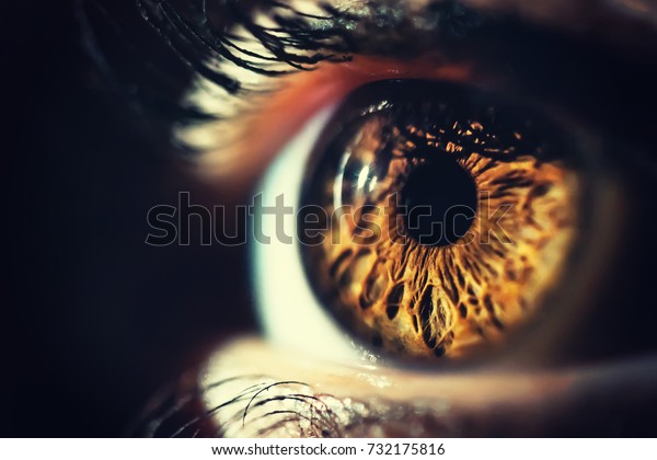 Human eye iris close\
up