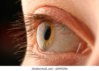 Human eye macro