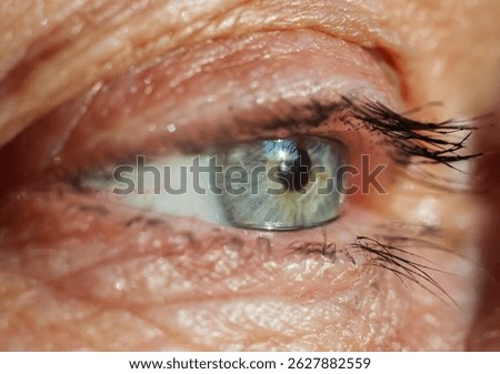 Human eye, macro shoot. Selective focus.