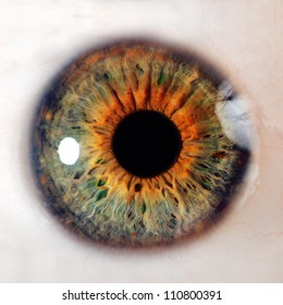 Human Eye. Macro Shooting