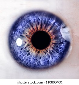 Human Eye. Macro Shooting