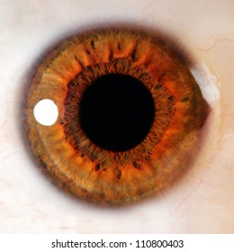 Human Eye. Macro Shooting