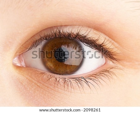 Human eye. macro shooting...