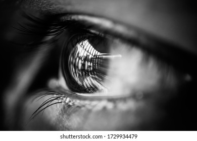 Human Eye With The Reflection