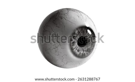 Human Eye side angle image