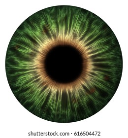 99,869 Iris eye Images, Stock Photos & Vectors | Shutterstock