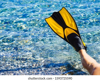 Human Feet Swimming Equipment Flippers Fins Stock Photo 1593725590 ...