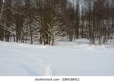 Human feet traces in the snow. Footprints alley through the snow. Winter background. Snow-covered nature. Wandering alone. Snow pathway.