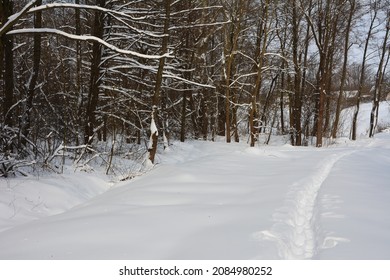 Human feet traces in the snow. Footprints alley through the snow. Winter background. Snow-covered nature. Wandering alone. Snow pathway.
