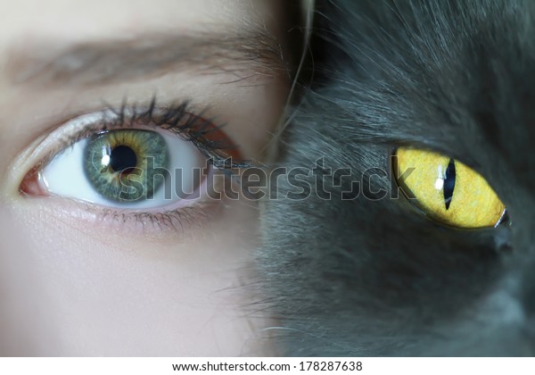 human cat eyes