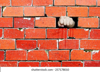 A human fist punch through a brickwall for the concept of breaking through the barrier.
