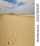 Human foot print on the sand  in Fayoum desert in Egypt