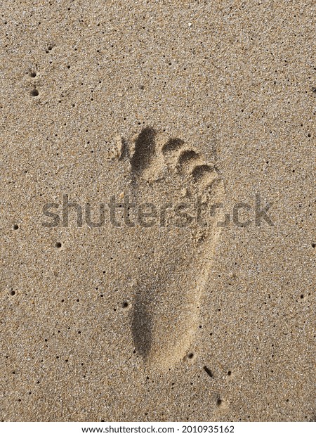 Human Footprint On Beach Stock Photo Shutterstock
