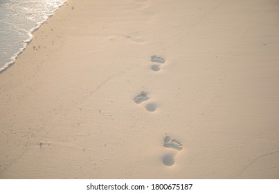 Human Footprint On Sand Beach Stock Photo Shutterstock