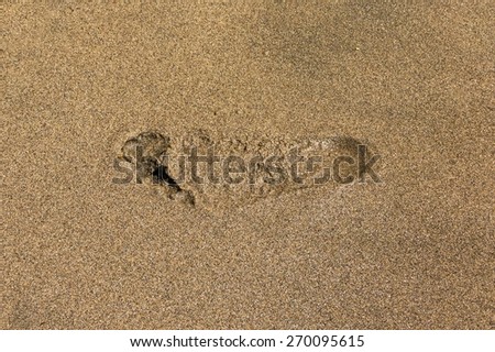 The human footprint on the sea beach in the sand