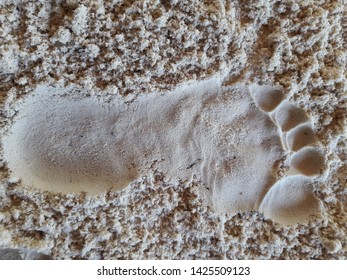 Human footprint in the sand
