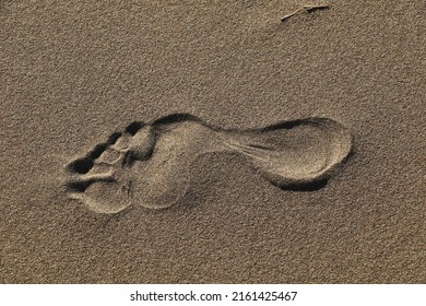 Human Footprint Sand Stock Photo Shutterstock