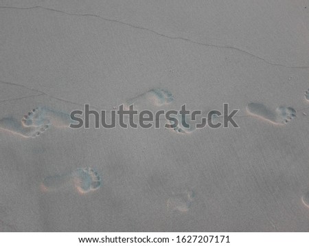 human footprints in the beach sand, it's morning so the sand is relatively wet