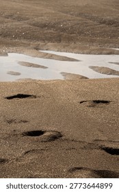 Human Footprints Deeply Pressed into Wet Dark Sand Near a Reflective Puddle on a Mudflat