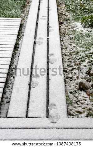 Similar – Image, Stock Photo tropic Snow Snow layer