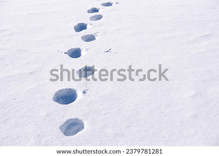 Human footprints in the snow. Footprint trail. Footstep walking snow trace.