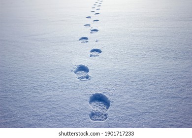 Human footprints in the snow under sunlight close-up view