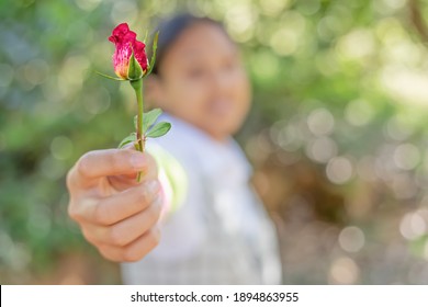 花 差し出す の写真素材 画像 写真 Shutterstock