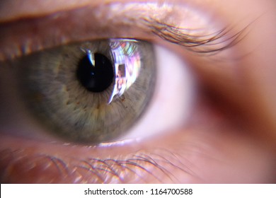 Human Green Eye Looking At The Screen Of The Smartphone.