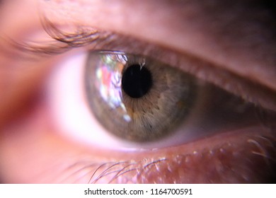 Human Green Eye Looking At The Screen Of The Smartphone.