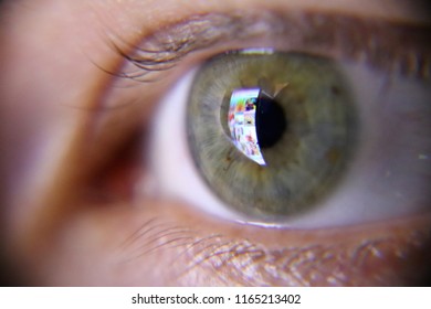 Human Green Eye Looking At The Screen Of The Smartphone.