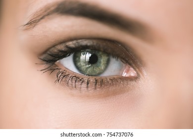 Human green eye with reflection. Macro shot.