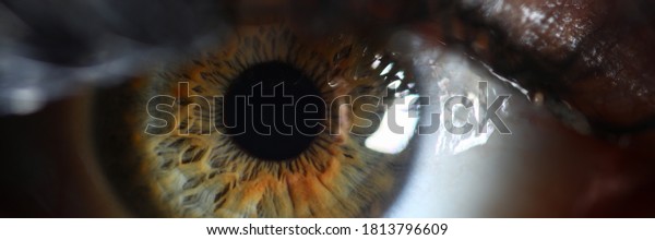 Human green eye retina supermacro closeup\
background. Check vision\
concept