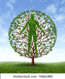 Human Growth And Development And Personality Development As A Medical Symbol Of Health As A Tree With Branches And Green Leaves In The Shape Of A Persons Anatomical Body On A Blue Sky.