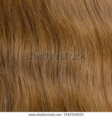 Human hair wig on a mannequin. Back view. Blonde. Straight hair