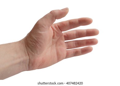 human hand