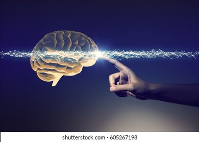 human hand and brain, 3D rendering - Shutterstock ID 605267198