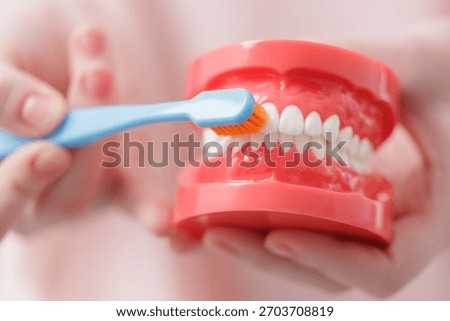 Human hand brushing model teeth with blue and orange toothbrush.