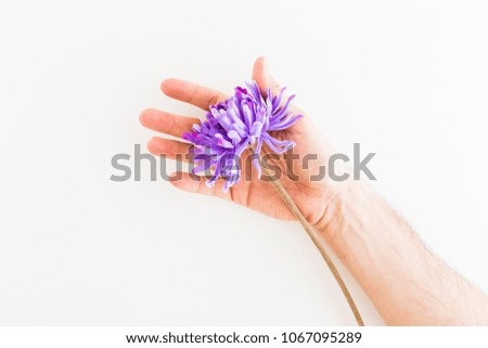 Similar – Image, Stock Photo Allium isolated on white background