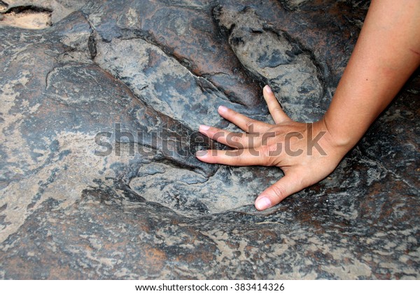 La mano humana se compara con la verdadera huella de dinosaurio en Naku, Kalasin de Tailandia