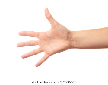 Human Hand Five Fingers