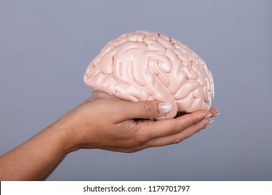 Human Hand Holding Human Brain Model Against Grey Background - Shutterstock ID 1179701797