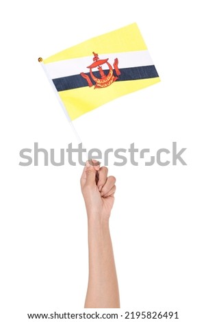 Human hand holding Brunei national flag isolated over white background
